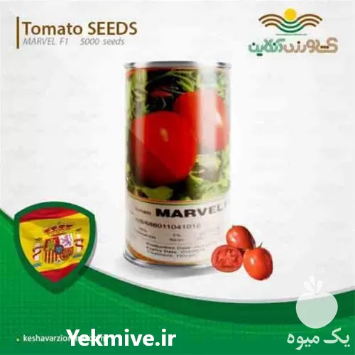 قیمت خرید بذر گوجه مارول اسپانیا در گروه خرید و فروش بذر گوجه در یکمیوه -عکس1