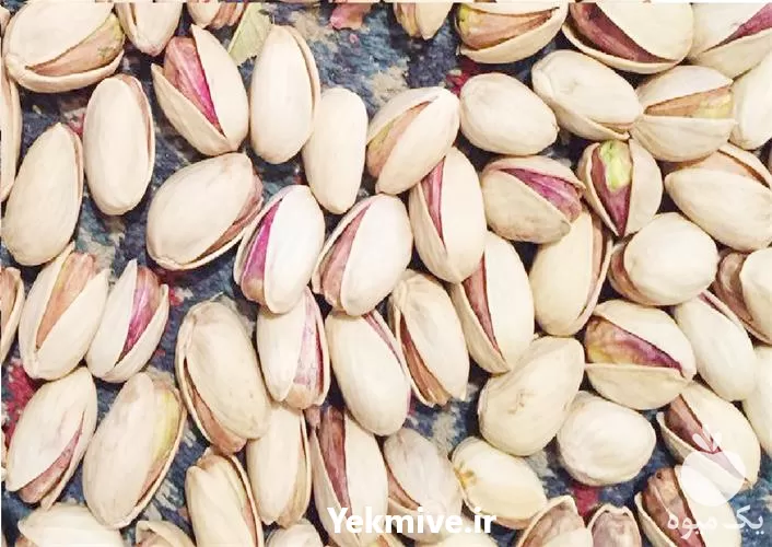 خرید نهال پسته رقم بادامی زرند در کرمان  در گروه خرید و فروش نهال پسته در یکمیوه -عکس1