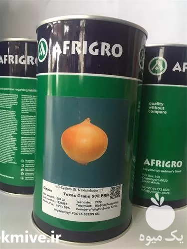 خرید و عرضه بذر پیاز افریگرو در اردبیل در گروه خرید و فروش بذر پیاز در یکمیوه -عکس1