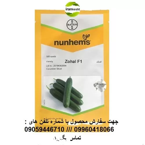 فروش بذر خیار گلخانه ای زحل در گروه خرید و فروش بذر خیار در یکمیوه -عکس1