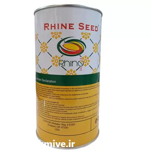 قیمت خرید بذر هویج  راین در گروه خرید و فروش بذر هویج در یکمیوه -عکس1