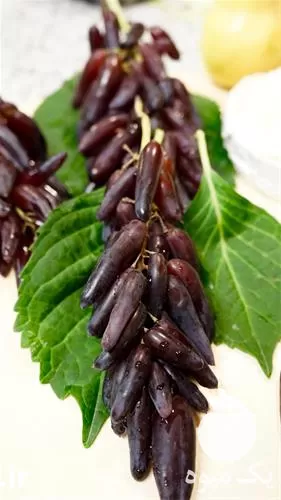 نهال انگور در خراسان رضوی در گروه خرید و فروش نهال انگور در یکمیوه -عکس1