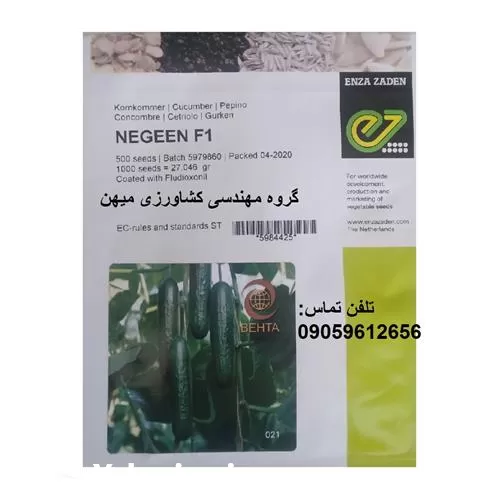 خرید پخش بذر خیار گلخانه ای در تهران در گروه خرید و فروش بذر خیار در یکمیوه -عکس1