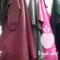 قیمت خرید پوست شترمرغ در مشهد در خراسان رضوی در گروه مرغ و خروس و بوقلمون و اردک قو قاز در یکمیوه