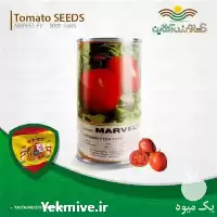 قیمت خرید بذر گوجه مارول اسپانیا در گروه خرید و فروش بذر گوجه در یکمیوه