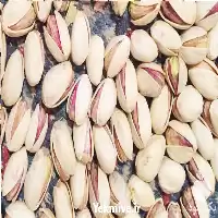 خرید نهال پسته رقم بادامی زرند در کرمان  در گروه خرید و فروش نهال پسته در یکمیوه