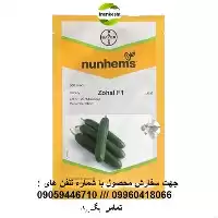 فروش بذر خیار گلخانه ای زحل در گروه خرید و فروش بذر خیار در یکمیوه