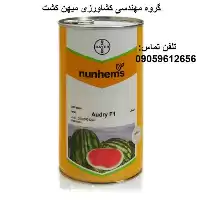 خرید بذر هندوانه درجه یک آئودری در گروه خرید و فروش بذر هندوانه در یکمیوه