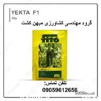 فروش بذر خیار گلخانه ای یکتا در کرمانشاه در گروه خرید و فروش بذر خیار در یکمیوه