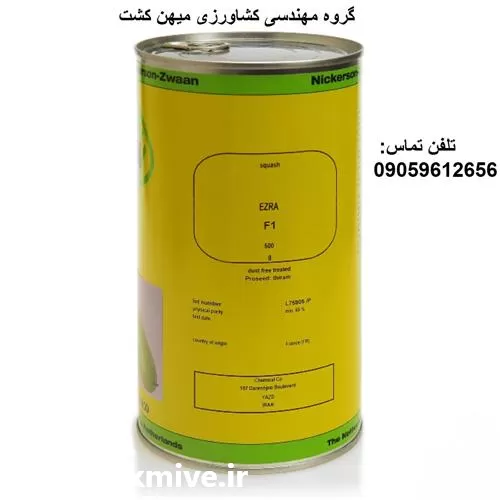 بذر کدو ازرا نیکرسون در همدان در گروه خرید و فروش بذر کدو در یکمیوه -عکس1