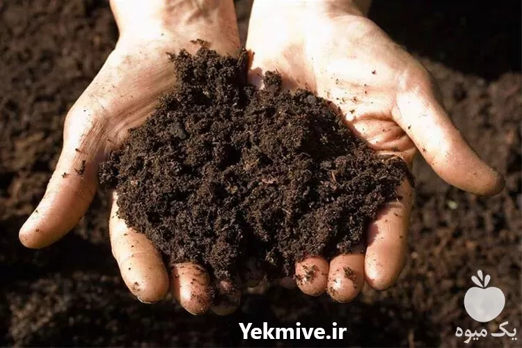 قیمت خرید خاک هوموس در تهران در گروه انواع محصولات خاک و تغذیه در یکمیوه -عکس1