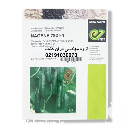 بذر خیار گلخانه ای ناگین 792 در گروه خرید و فروش بذر خیار در یکمیوه -عکس1