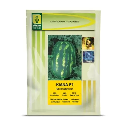 بذر هندوانه هیبرید کیانا کریمسون سوییت در اصفهان در گروه خرید و فروش بذر هندوانه در یکمیوه -عکس1