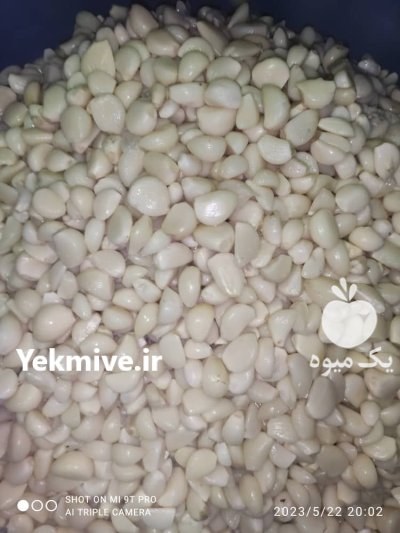 فروش سیر سورت شده صادراتی در همدان در گروه خرید و فروش سیر در یکمیوه -عکس4