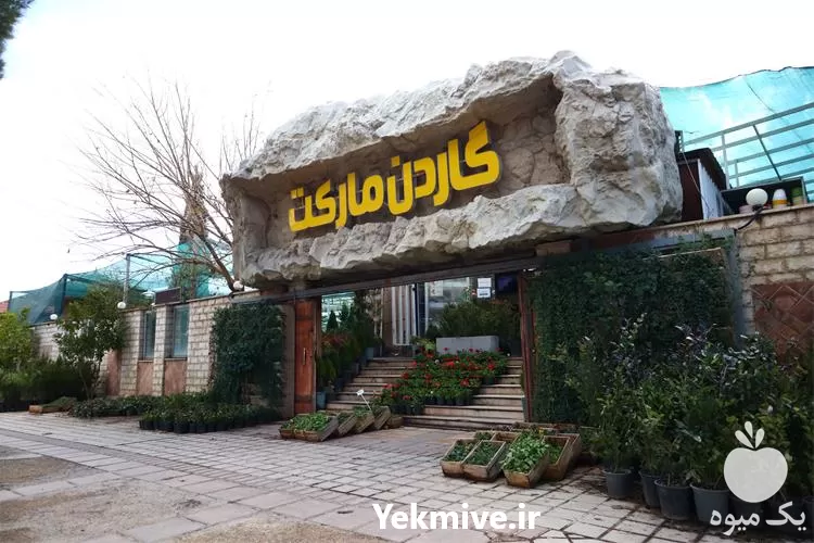 نصب و اجرای دیوار سبز در گروه سازنده در یکمیوه -عکس1