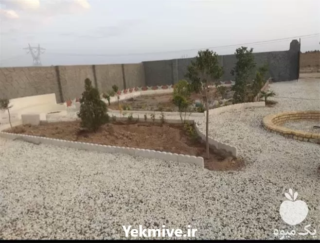 کلیه خدمات باغبانی هرس چمن درخت در گروه هرس کاری در یکمیوه -عکس1