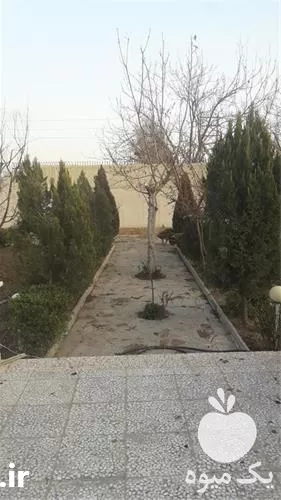 کلیه خدمات باغبانی هرس چمن درخت در تهران در گروه هرس کاری در یکمیوه -عکس1