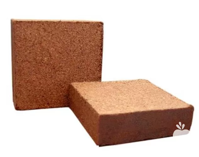 فروش خاک پرورش حلزون در اصفهان در گروه انواع محصولات خاک و تغذیه در یکمیوه -عکس1