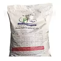 فروش بذر ذرت 704 مغان در خراسان شمالی در گروه خرید و فروش بذر ذرت در یکمیوه