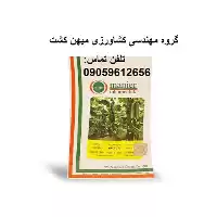 بذر خیار گلخانه ای ام آر در فارس در گروه خرید و فروش بذر خیار در یکمیوه