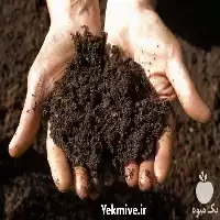 قیمت خرید خاک هوموس در تهران در گروه انواع محصولات خاک و تغذیه در یکمیوه