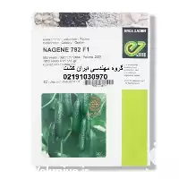 بذر خیار گلخانه ای ناگین 792 در گروه خرید و فروش بذر خیار در یکمیوه