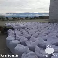 قیمت خرید پودر گوشت مرغی در گروه خوراک شیلات و آبزیان در یکمیوه