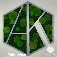 دیوار سبز دیوار خزه ای در گروه سازنده در یکمیوه