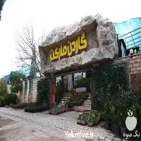 نصب و اجرای دیوار سبز در گروه سازنده در یکمیوه