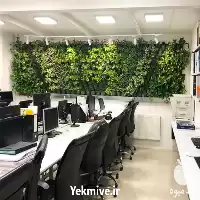 دیوار سبز طبیعی در فارس در گروه سازنده در یکمیوه