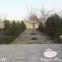 کلیه خدمات باغبانی هرس چمن درخت در تهران در گروه هرس کاری در یکمیوه