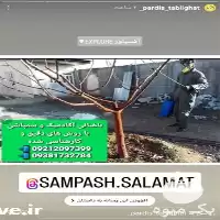 انجام باغبانی فضای سبز در تهران در گروه خدمات باغبانی در یکمیوه