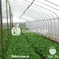 قیمت انواع توری ضد حشره هندی در گروه خرید و فروش توری گلخانه در یکمیوه