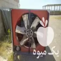 قیمت خرید وسایل مرغداری در گروه تجهیزات مرغداری در یکمیوه