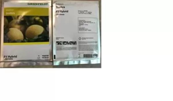 فروش بذر ملون بشرا در خوزستان در گروه خرید و فروش بذر ملون در یکمیوه -عکس1