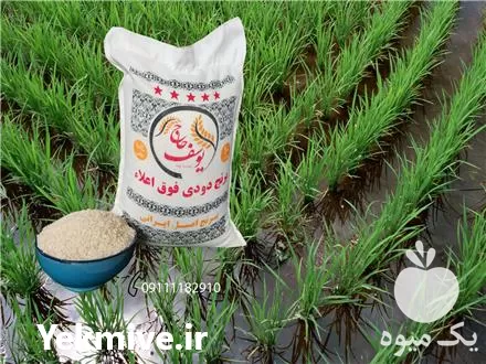 فروش برنج دودی در تهران در گروه خرید و فروش برنج در یکمیوه -عکس1