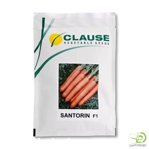 ویژه بذر هویج زودرس سنتورین کلوز در فارس در گروه خرید و فروش بذر هویج در یکمیوه -عکس1