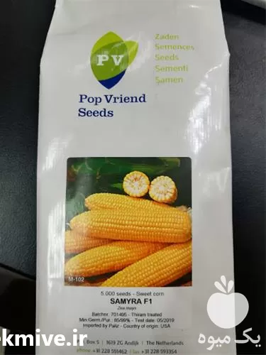 فروش بذر ذرت بلال سمیرا در اصفهان در گروه خرید و فروش بذر ذرت در یکمیوه -عکس1