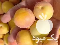 خرید زردالو و آلبالو در گروه خرید و فروش آلبالو در یکمیوه -عکس1