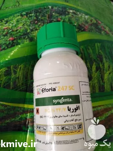 سم حشره فروش در گروه خرید و فروش انواع سم در یکمیوه -عکس1