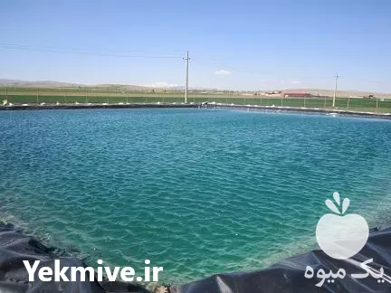 اجرای استخر های پلیمری کشاورزی در تهران در گروه خرید و فروش استخر کشاورزی در یکمیوه -عکس1