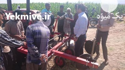 فروش ادوات کشاورزی مهرگان در کرج در اشتهارد در گروه خرید و فروش انواع ادوات کشاورزی در یکمیوه -عکس4