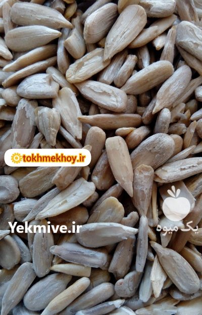 مغز تخمه آفتابگردان در خوی در گروه خرید و فروش انواع تخمه در یکمیوه -عکس1