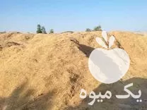 فروش کاه کاهکوب در علی آباد در گروه خوراک دام و طیور در یکمیوه -عکس1