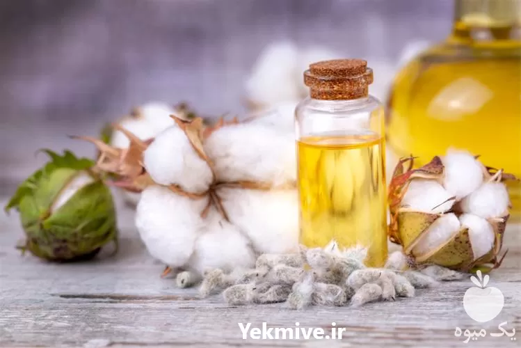 خرید پخش ویژه روغن پنبه دانه در گروه خرید و فروش گیاهان صنعتی در یکمیوه -عکس1