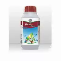 قیمت خرید سم قارچ کش راکسیل در تهران در گروه خرید و فروش انواع سم در یکمیوه