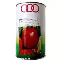 فروش بذر گوجه کریستال 3 حلقه در خوزستان در گروه خرید و فروش بذر گوجه در یکمیوه