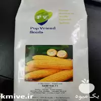 فروش بذر ذرت بلال سمیرا در اصفهان در گروه خرید و فروش بذر ذرت در یکمیوه