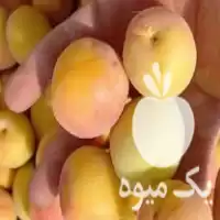 خرید زردالو و آلبالو در گروه خرید و فروش آلبالو در یکمیوه