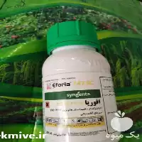 سم حشره فروش در گروه خرید و فروش انواع سم در یکمیوه